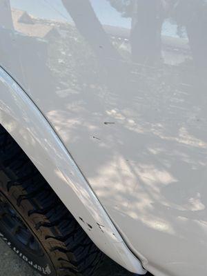 The tire dressing spray. It will kick up all over the vehicle for days.