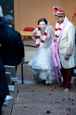 Wildflowers Photography