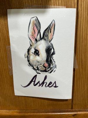 Long Island Bird & Exotics Veterinary Clinic