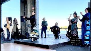 Rocky's Market Brooklyn Basin - Live Show is happening every month!