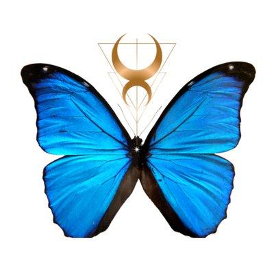 Wood & Water Healing Arts