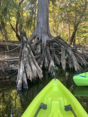 Ole Mossy’s Up River Kayak Rentals & Boat Tours