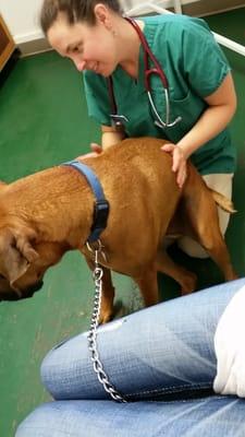 Winthrop Veterinary Services