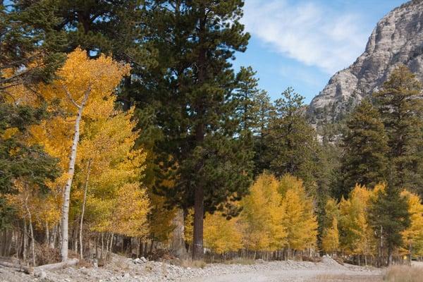 Eve Cundiff Photography