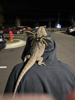 Bayside Animal Medical Center