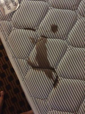 This is the stain I saw on the bed. It wasn't created by me