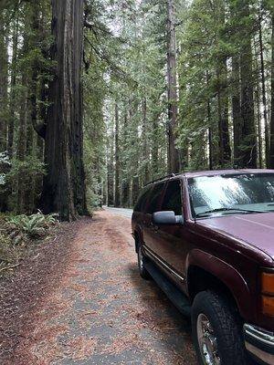 Major Muffler & Auto Repair