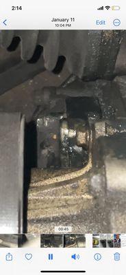 Long Life Complete Autocare