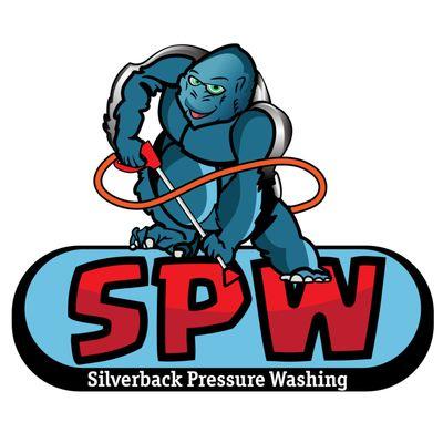 Silverback Pressure Washing in North Texas