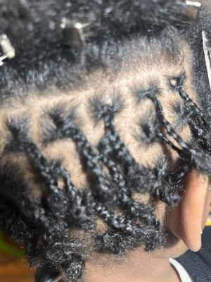 Noble Locs