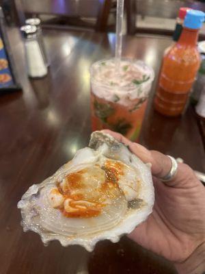 Oysters