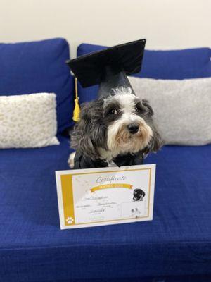 Vicky Ortiz Dog Training And Pet Services