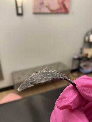 Brow Wax Strip
