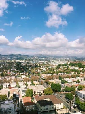 Kim Denkhaus Nutrition