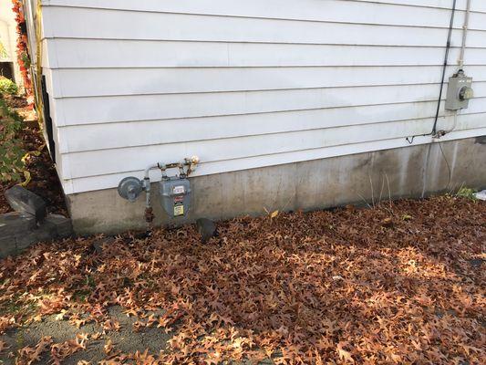 Ellis Painting Washing Home Repair