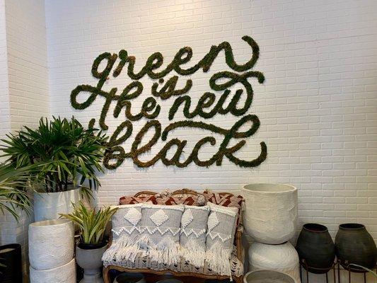 Dennis' 7 Dees Urban Plant Shop