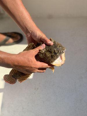 Reel Blonde Outdoors Fishing Charters