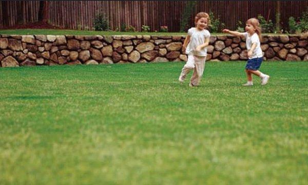 GreenPal Lawn Care of Chicago