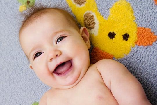 Capture your personalities with Limelight Photo Works!