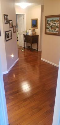 The Cleansing Touch International