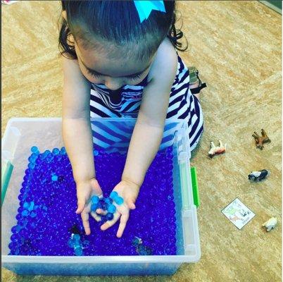 Sensory bin fun!