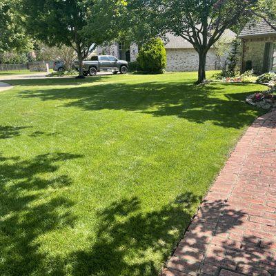 McKnight Lawn Service