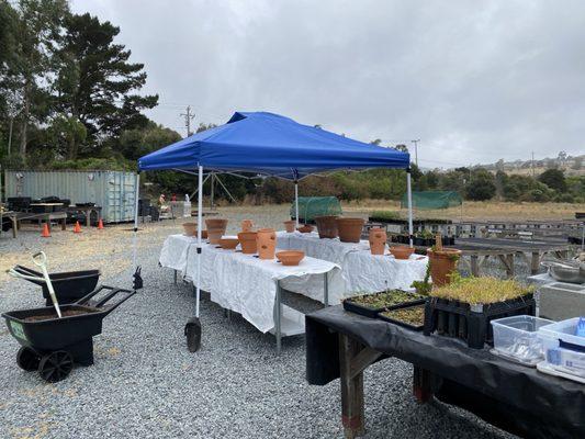 Container arrangement day