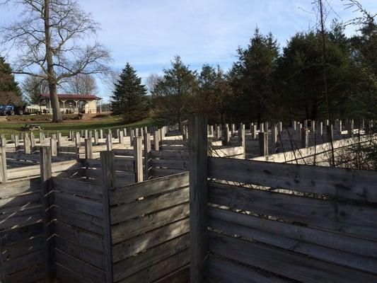 Southern Tree Plantation