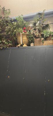 Chautauqua Playhouse