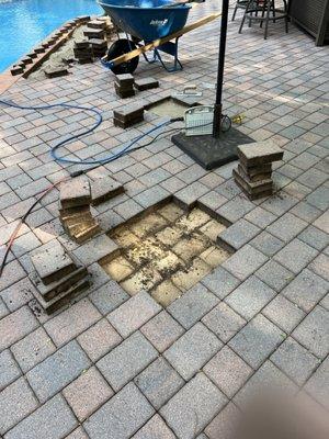 Sunflowers Landscaping