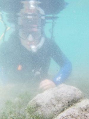 On weekends, the water near shore can get a bit stirred up.