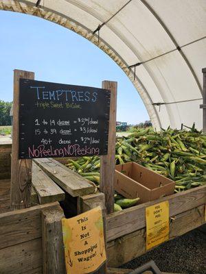Souder Farms Sweet Corn