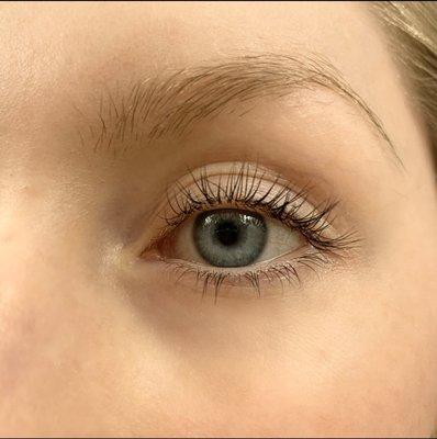 European Face and Body Studio