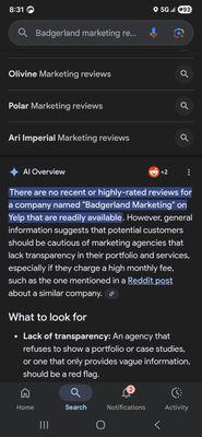 Badgerland Marketing