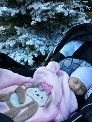 Thanks for my first Christmas tree!