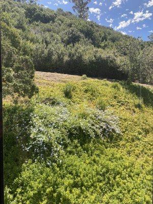 Ancient Way Health & Wellness