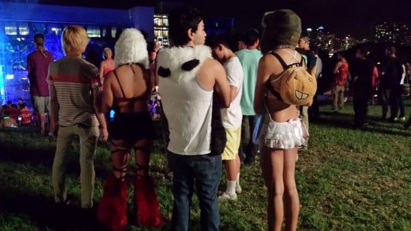 Tried to get a photo of a tutu, but she sat down. This is the best I can do. ..