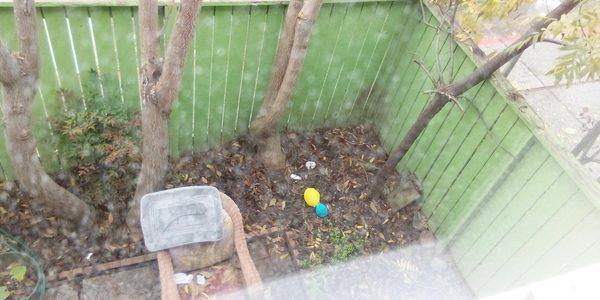 Type of nieghbors that live here