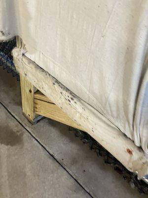 Moldy canvas in the big dog yard