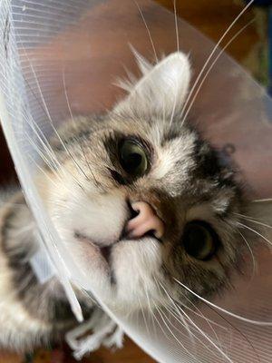 Sunny Hill Sanctuary