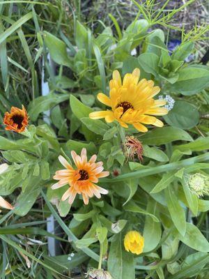 Hope through Healing