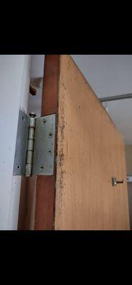 Shore Nursing and Rehabilitation Center