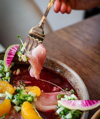 Mestizo Modern Mexican