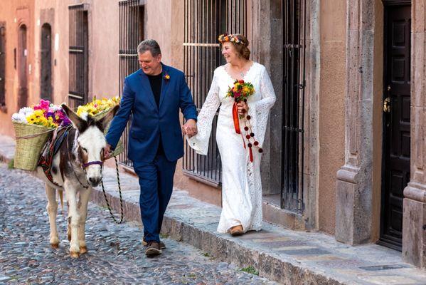 Susan Pacek Photography