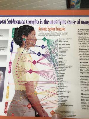 reNu Medical & Injury Center, LLC