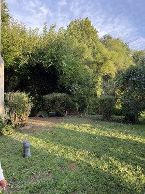 Kings Kin Maintenance