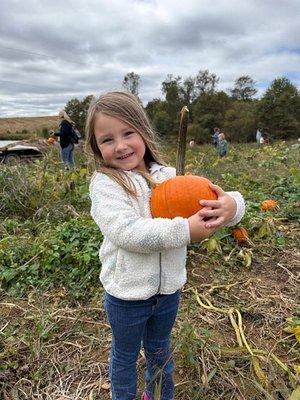 Mt. Airy Daycare & Learning Center, Inc