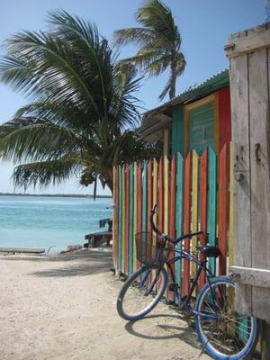 Photo taken on the island of Key Caulker, Belize.