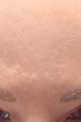 Lavish Beauty By Ellen