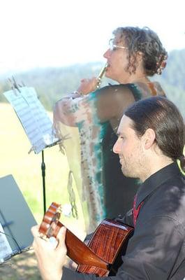 Daniel Sheridan Guitar and Bass Lessons